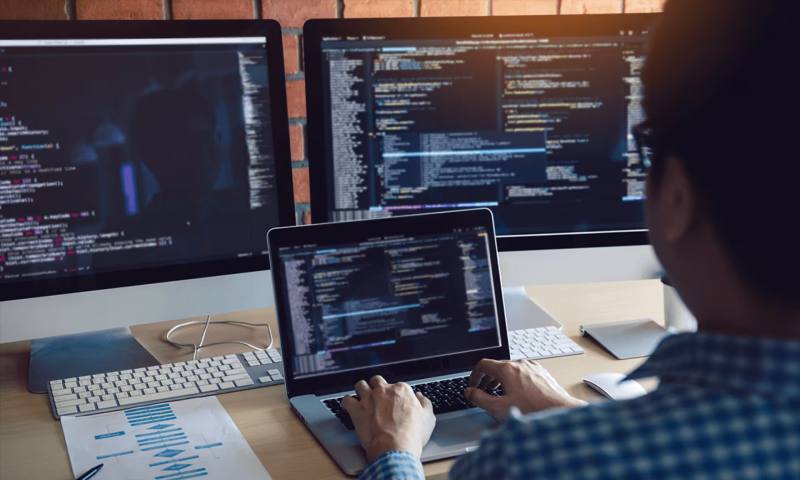 数据科学选型：R与Python如何赋能奉贤区网站建设？